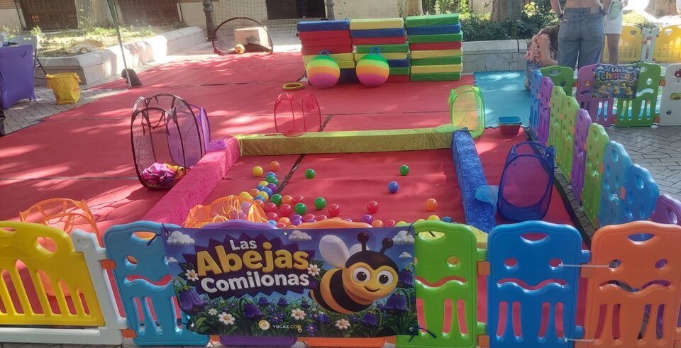 Montaje completo de Las Abejas Comilonas preparado para comenzar la actividad