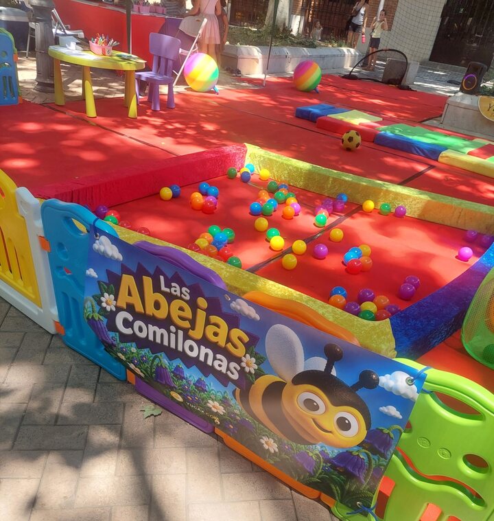 Terreno delimitado con la cosecha de colores dispersa